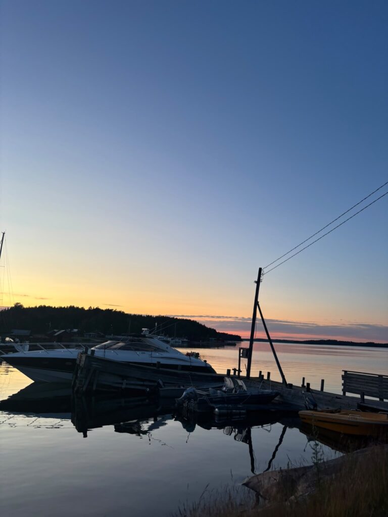 Pokerface by a rocky island in the evening light